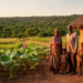 Who Backs the Park? Household Economics Drive Conservation Views in Ethiopia