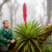 Giant New Bromeliad Named After the Andean Bear Is Discovered in Peru’s Cloud Forests