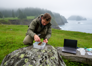 Machine learning reveals what drives amphibian diversity on China’s coastal islands