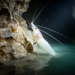 Ghostly Cave Shrimp from Sulphidic Iranian Waters Is First of Its Kind in the Middle East