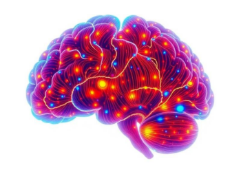 Single-Cell Atlas of Glioma Reveals Astrocyte Gene TTYH1 as a Hidden Tumor Suppressor