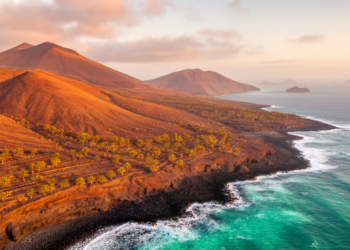 Human-Induced Eemification: Canary Islands Slide Toward Last Interglacial Conditions