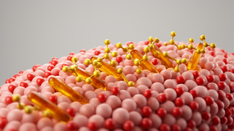 Curcumin grips charged cancer membranes more tightly than neutral ones