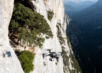 Drone cameras reveal relict holm oak communities clinging to an Apuan limestone cave wall