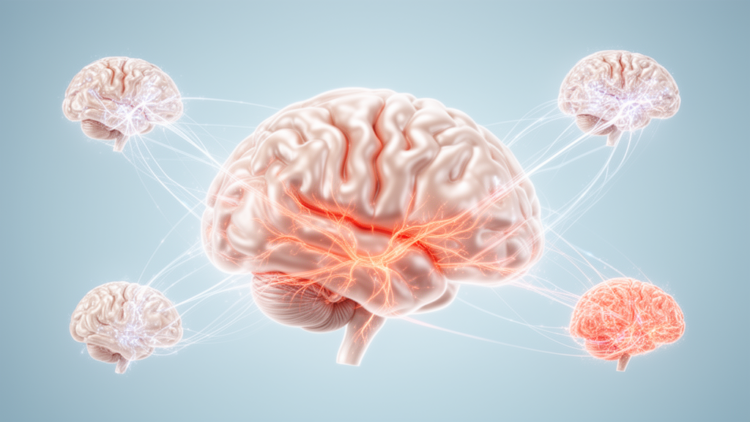 Review: Brain models explain 10–40% of cognitive variation