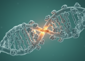 Chaperone Overproduction May Help Cells Repair Oxidative DNA Damage