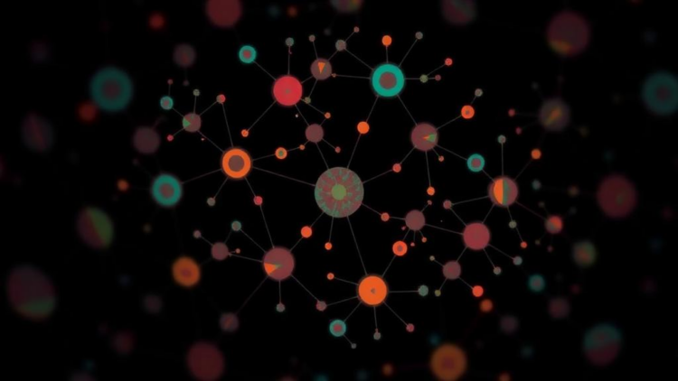 Self-Adaptive Cell Graphs Push Single-Cell Clustering Into Sharper Focus
