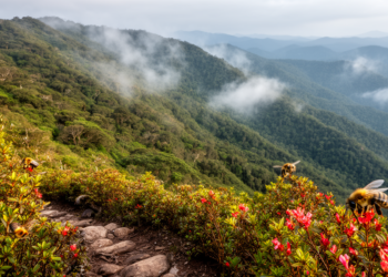 Seasonal Climate and Rugged Terrain Shape Bee Diversity Across the Atlantic Forest