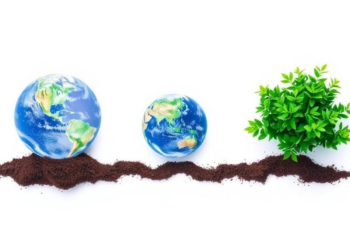 Information Systems Scholars Urged to Move Beyond Incremental Fixes for the Climate Crisis