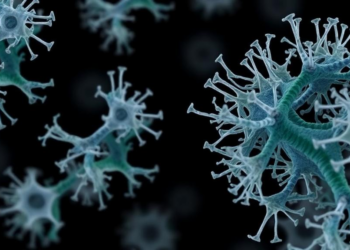 Comparative Genomics Reveals Hidden Genes Behind Pseudomonas aeruginosa’s Human Adaptation