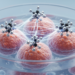 Network and cell study links carboplatin to four melanoma targets