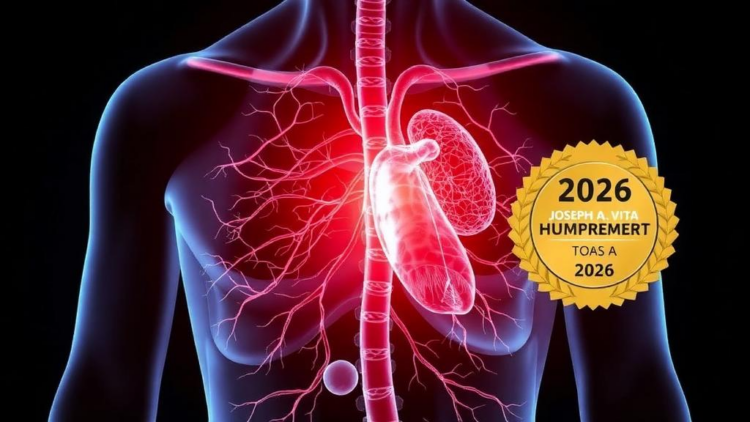 Immune system discovery linking inflammation to high blood pressure earns 2026 Joseph A. Vita Award