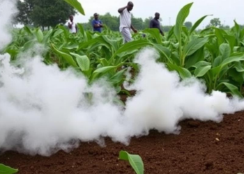 Forever Chemicals and Cancer: Nigeria Faces a Growing Toxic Burden