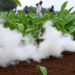 Forever Chemicals and Cancer: Nigeria Faces a Growing Toxic Burden