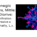 Epigenetic Switches That Drive MYC Gene Amplification in Aggressive Cancers
