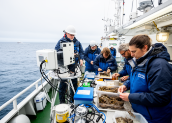 GES4SEAS turns cumulative ocean pressures into operational management tools