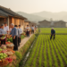Rural tourism spending linked to weaker Chinese farm prosperity