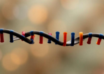 Hidden Flaws in a Leading DNA Methylation Chip Could Skew Studies of Diverse Populations