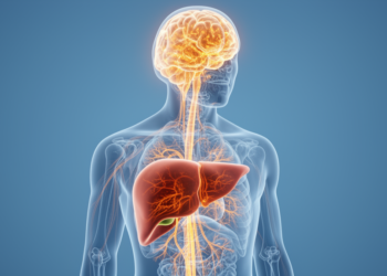 Liver-Driven Brain Changes Mapped in Unprecedented Detail in Cirrhosis Patients