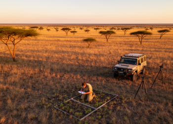 Africa’s Vegetation Map Is Still Mostly Blank, Landmark Collection Shows