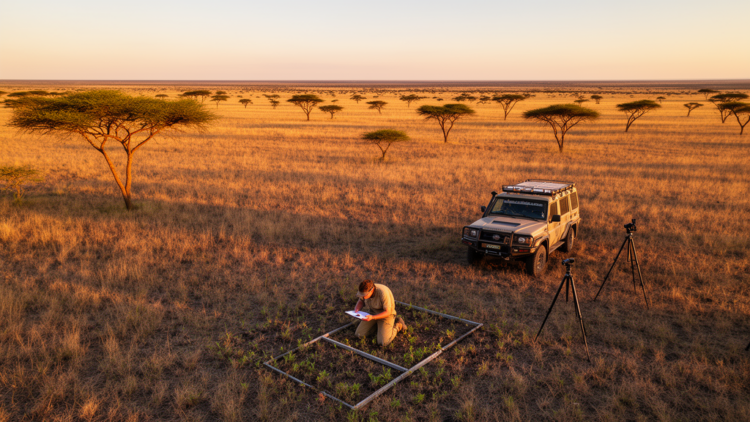 Africa’s Vegetation Map Is Still Mostly Blank, Landmark Collection Shows