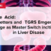 Bile Acid Receptors FXR and TGR5 Emerge as Master Switches in Liver Disease