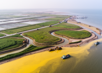 Yellow River Delta restoration shifts toward coordinated land-sea management