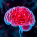 Brain Tumor Protein Reveals Why a Common Cancer Drug Stops Working