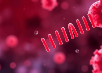 Leaking Mitochondrial DNA Emerges as a Central Engine of Cellular Aging