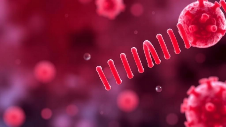 Leaking Mitochondrial DNA Emerges as a Central Engine of Cellular Aging