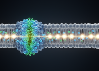 BK Channel Models Link Higher Conductance to Precise Neuronal Spike Timing