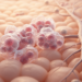Research report: Obesity and lymphoma: from pathobiology to clinical outcomes