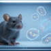 DynaVelo predicts B-cell mutation effects and rescue targets in mice