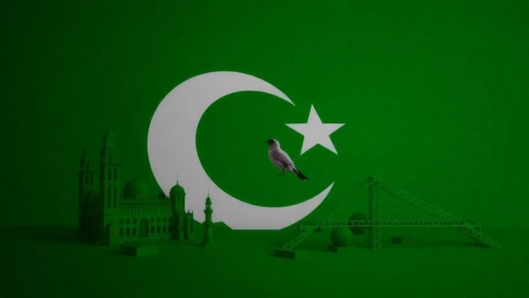 Coalition simulation links Pakistan migration policy outcomes to unequal influence