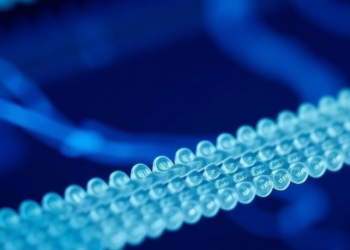 Research report: Biopolymers as membranes for gas separation: it is all about data