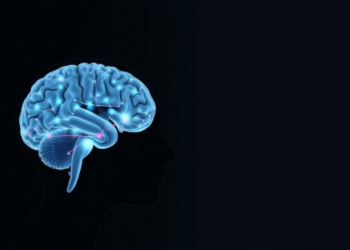 Cross-population MRI study links brain dysconnectivity to depression status