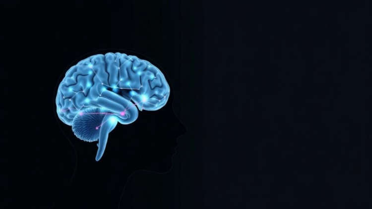 Cross-population MRI study links brain dysconnectivity to depression status