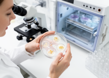 Antioxidants linked to embryo counts, not pregnancy outcomes in DOR IVF study
