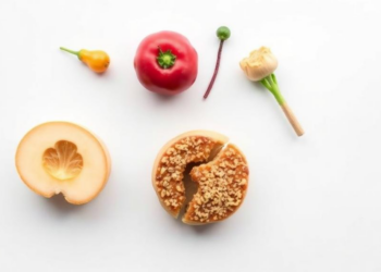 Machine Learning Finds Mixed Dietary Signals in Older Adults’ Predicted Skin Cancer