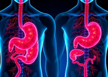 Review links diabetes and atrophic gastritis in a proposed feedback loop