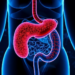 Research report: Targeting the gut-liver axis: New review explores microbial modulation to enhance immunotherapy in hepatocellular carcinoma