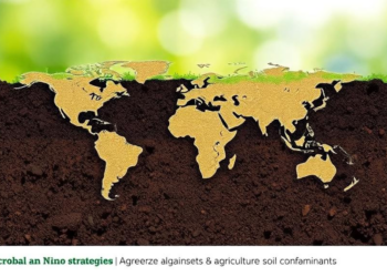 Review maps microbial and nano strategies against agricultural soil contaminants