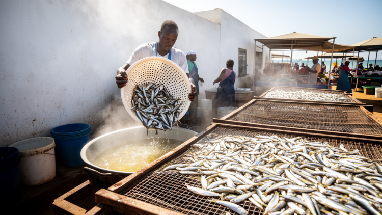 Brine boiling cuts drying time for Kenya’s nutrient-dense Dagaa fish