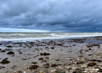 Record Baltic sea-level depression exposed unusually strong atmospheric forcing