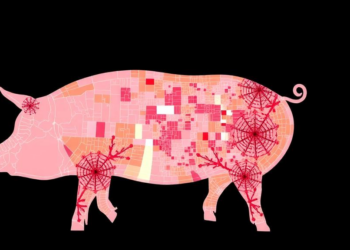 Pig DNA Methylation Map Reveals Hidden Genetic Switches Behind Meat Traits