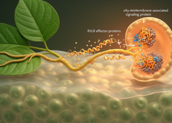 RXLR effectors of Phytophthora infestans: delivery, host targets and immune suppression