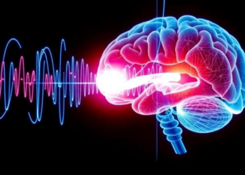 Light and Sound at 40 Hz: New Review Weighs the Evidence Behind a Bold Alzheimer’s Therapy