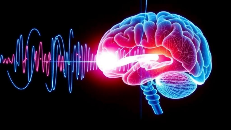 Light and Sound at 40 Hz: New Review Weighs the Evidence Behind a Bold Alzheimer’s Therapy
