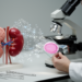 BDNF markers linked to cognitive impairment in kidney disease