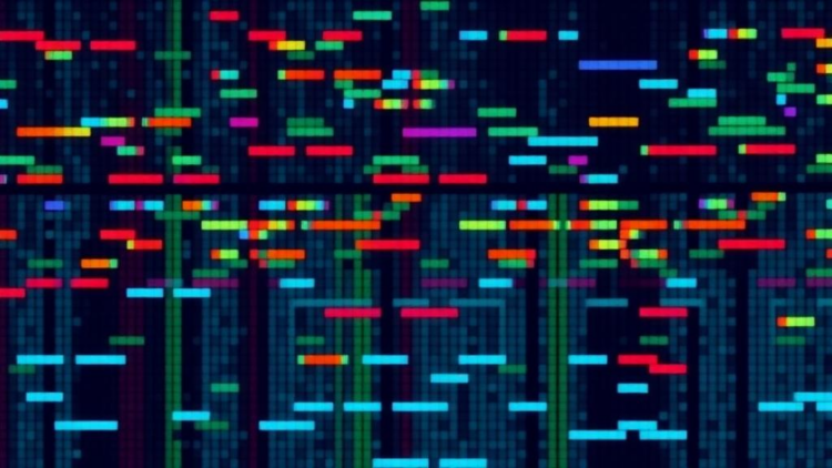 Fuzzy–Rough Sets Speed Up the Hunt for Cancer Genes in Microarray Data